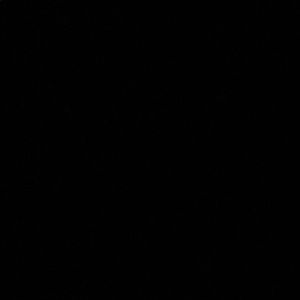 Meet your Posher, Dustin